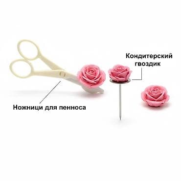 Модемы и сетевое оборудование: НАБОР ДЛЯ кондитера 🌹 Создавайте цветы, как профессионал, и переносите — 1