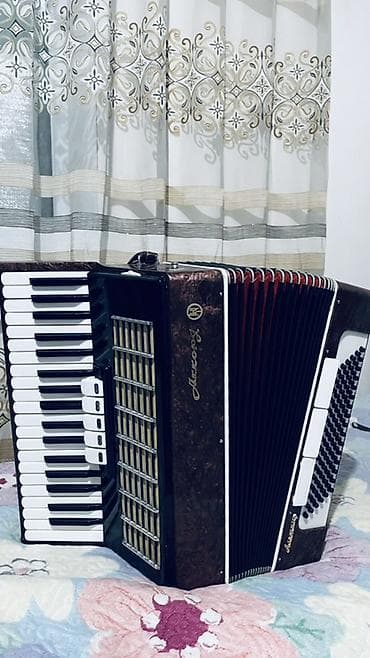 native instruments: Аккордеон «Астра» (надпись на корпусе), клавишно-кнопочный — 1