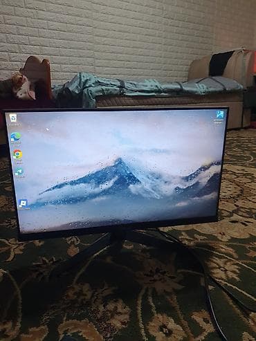 Монитор, Asus, 24" - 25"