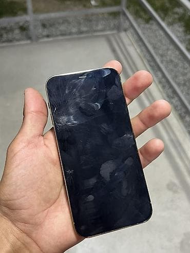 apple iphone 12 mini: IPhone 12 Pro, Серебристый — 3