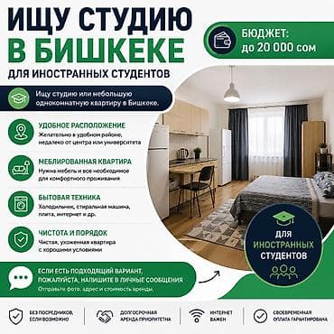 Сниму квартиру: Ищу студию или небольшую однокомнатную квартиру в Бишкеке для — 1