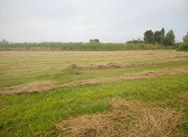 продаю связи с переездом: 50 соток, Курулуш, Сатып алуу-сатуу келишими — 1