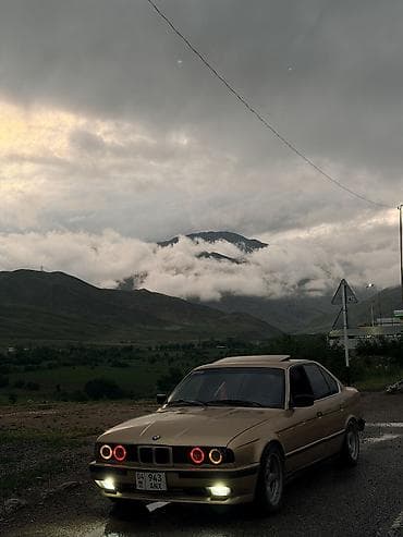 genesis авто: BMW 5 series: 1991 г., Седан — 1