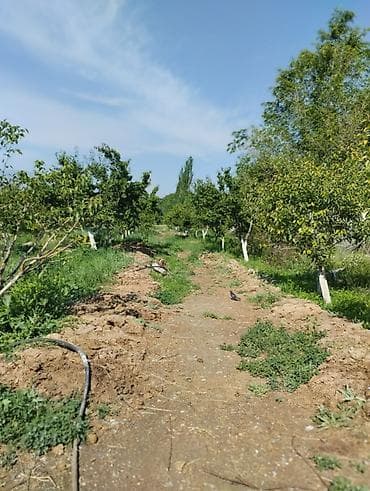 продаю участок люксембург: Дом, 300 м², 10 комнат, Риэлтор — 4