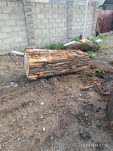 бельг: Бревно лиственной породы, цельный ствол. Характеристики: - Длина — 3