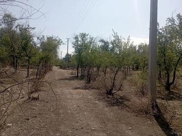 продаю псо квартиру: 5 соток, Для строительства, Красная книга — 6