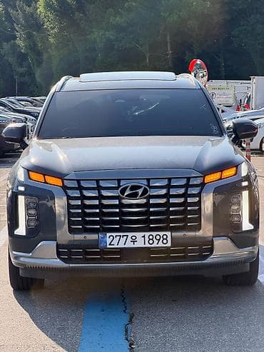 go park: Hyundai Palisade: 2019 г., 2.2 л, Автомат, Дизель, Кроссовер — 3