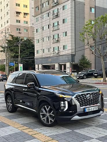range river: Hyundai Palisade: 2020 г., 2.2 л, Автомат, Дизель, Внедорожник — 2