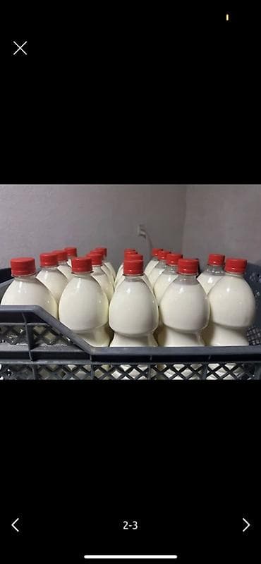 Натуральное домашнее молоко 🥛 Оптом и в розницу Свежесть и качество
