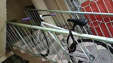 фикс хорс: Фикс-байк/синглспид городской - Рама и вилка: стальная, окраска белая — 4