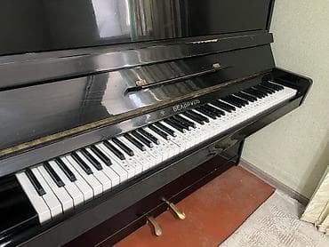 Фортепиано «Беларусь» (акустическое пианино, вертикальное) - Корпус