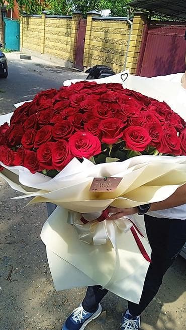 голанские розы: Букеты 101 и 51 Роза от 1900 сом оформление и открытка в подарок🎁 — 1