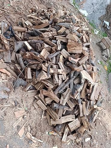 леса сатып алам: Дрова Самовывоз — 1