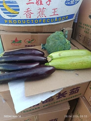 баклажан цена за кг: КАБАЧКИ 
- Баклажаны оптовые цены — 1