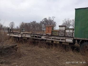 мапет бишкек: Продаю платформу для пасики 11м имеется выдвиг 6,2 м . - — 2