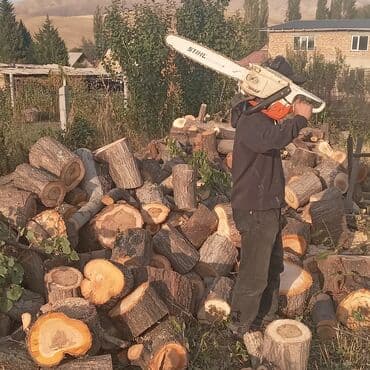 оборудование для выпечки: Спили аварийных деревьев заготовка дров. бак кыйабыз караколдо 5 — 18
