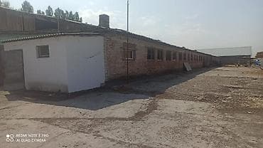 продается ферма: Сдам в аренду или продам фермусарайКашара.Ферма недалеко от — 5