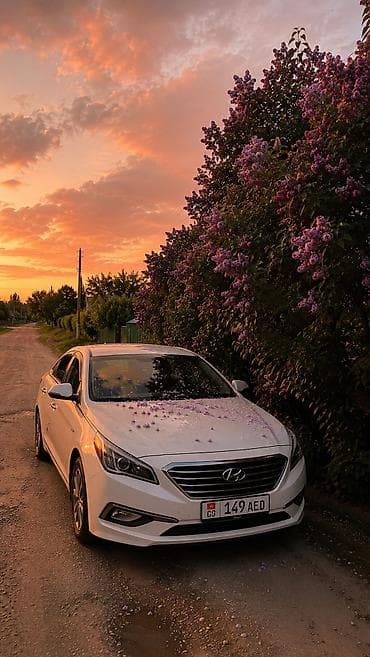 dn8 sonata: Hyundai Sonata: 2019 г., 2 л, Автомат, Газ, Седан — 1
