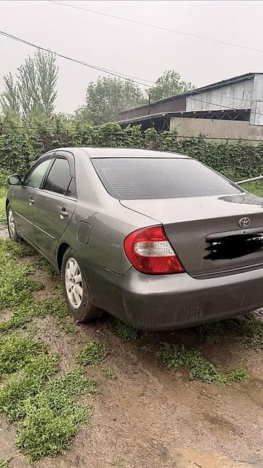 тайота грузовик: Toyota Camry: 2003 г., 2.4 л, Автомат, Газ, Седан — 5