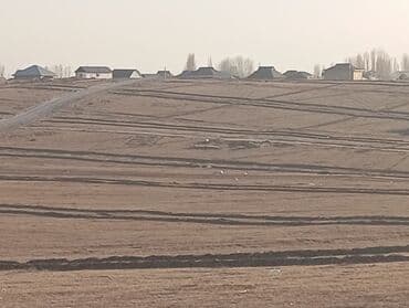 дома на обмен: 225 соток, Для бизнеса, Договор купли-продажи — 4