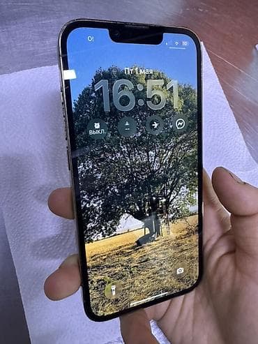 IPhone 13 Pro, 256 ГБ, Серебристый, Зарядное устройство, Защитное стекло, Чехол — 4