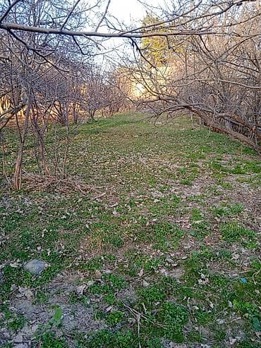 пол дома: 10 соток — 5