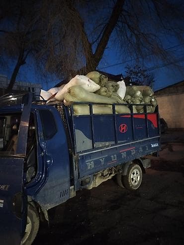 риман: Заказать Хендай портер, Вывоз бытового мусора, C грузчиком — 1