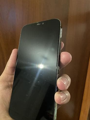 ne net: IPhone 13 Pro, Графит — 2