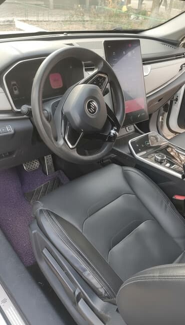 авто в рассрочку с первоначальным взносом: Weltmeister EX5, 2021 г., Передний — 1