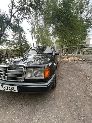 Mercedes-Benz W124: 1989 г., 2 л, Кол менен иштөөчү, Газ, Седан — 3