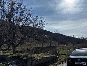 ысык куле: 5 соток, Курулуш, Кызыл китеп — 2
