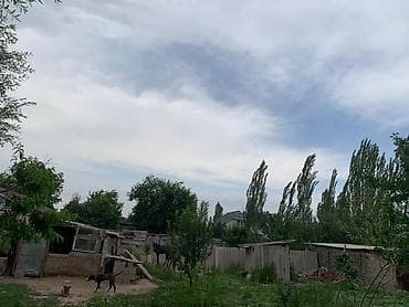 мойки: Продаётся дом с просторной планировкой. - Большая кухня-столовая с — 7