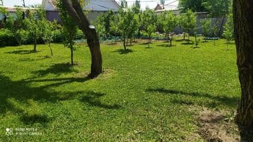 обрезка живой изгороди: Услуги Садовника! Стрижка газона со своей — 3
