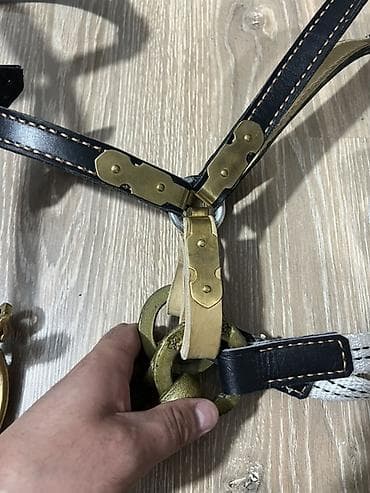 Аквариумы: Упряжь/амуниция для лошади (набор элементов) - Материал: кожа с — 9