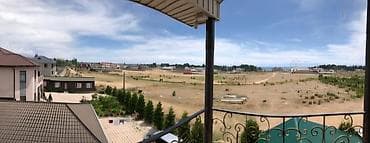 роза кочоттор: Беседка Дерево — 9