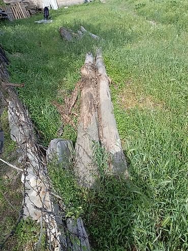 дрова кара балта: Дрова Самовывоз — 3