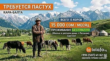 кальян бу купить: Требуется Пастух, Оплата: Ежемесячно, Питание — 1