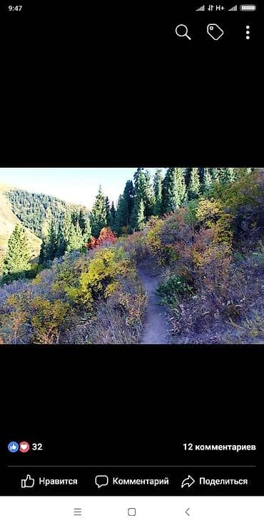 участок иссик куле: 15 соток, Для бизнеса, Красная книга — 3