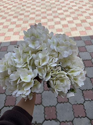 Подсвечники: В Аренду или на продажу!

Цветы,свечи и зеркало 
От 1500с ! — 6