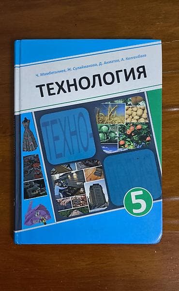 solutions elementary: Учебник «Технология», 5 класс. Авторы: Ч. Мамбеталиев, Ж — 1