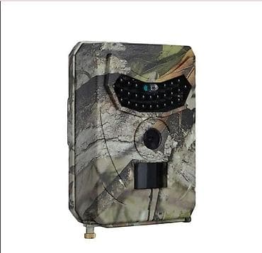 Коляски: Коляска, Другой бренд, цвет - Серебристый, Новый, Самовывоз, Платная доставка — 5