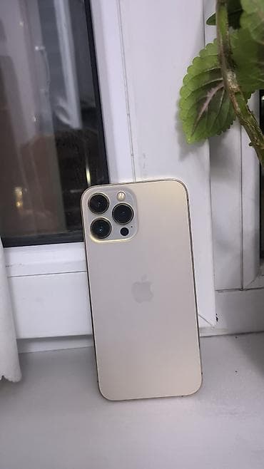 аефон 13про: IPhone 13 Pro Max, Б/у, 256 ГБ, Золотой, Защитное стекло, Чехол, 75 % — 1
