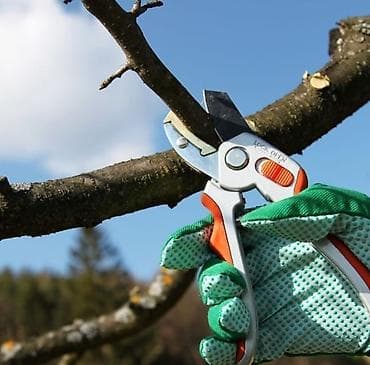 Услуги профессионального Садовника Обрезка деревьев Подкормка Лечение