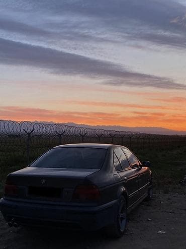 santa kruz: BMW 5 series: 1999 г., 2.5 л, Механика, Бензин, Седан — 4