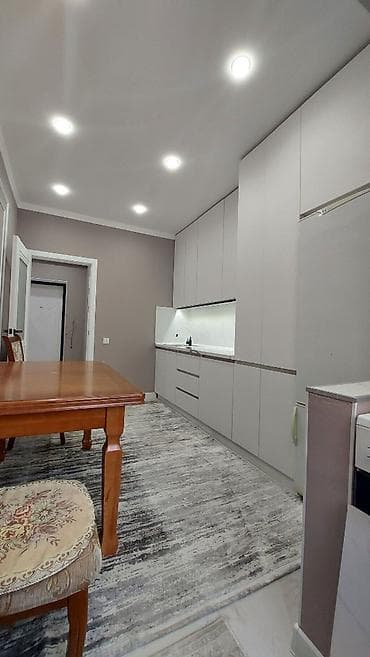 Кыймылсыз мүлк: 1 бөлмө, 42 м², Элитка, 7 кабат, Евроремонт — 8