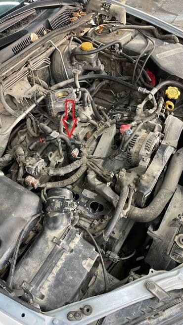 infinity: Патрубок Subaru — 3