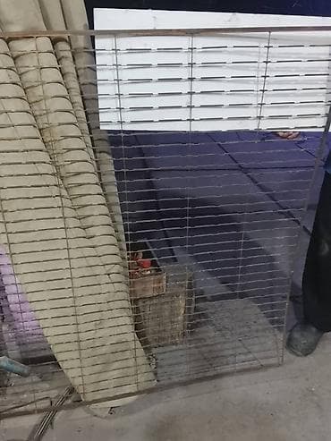 металлические сетка: Башка торлор — 1