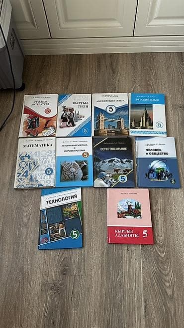 китайские книжки: Комплект учебников для 5 класса (Кыргызстан) Состав: - Русская — 2