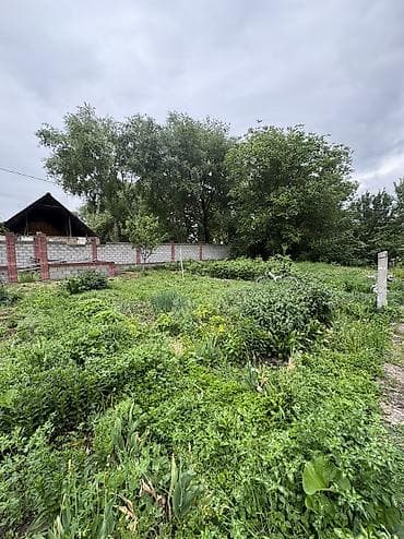 Кыймылсыз мүлк: 6 соток, Курулуш, Кызыл китеп, Сатып алуу-сатуу келишими — 3