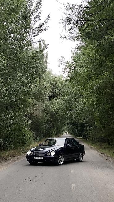 e star: Mercedes-Benz E-Class: 2001 г., 4.3 л, Автомат, Газ, Седан — 1